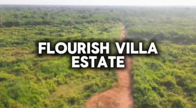Flourish Villa Estate, Flourish Villa Estate, Owerri Municipal, Imo, Mixed-use Land for Sale