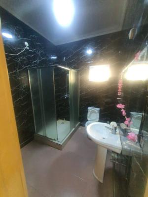 Massive Mini Flat with Balcony Upstairs, in Estate, Chevron, Lekki, Lagos, Mini Flat (room and Parlour) for Rent