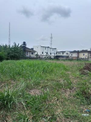 Vacant Land Fenced with Gate Measuring 3000sqmts, Millennium Estate, Oke Alo Gbagada, Gbagada, Lagos, Residential Land for Sale