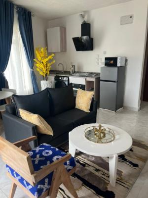 Spacious 1-bedroom Apartment in a Prime Estate Off Freedom Way, Off Freedom Way, Lekki Phase 1, Lekki, Lagos, Flat / Apartment for Rent
