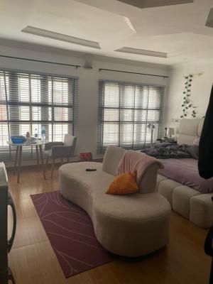 Massive Studio Room, Ikate, Lekki, Lagos, Self Contain (single Rooms) for Rent