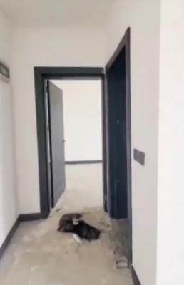 Newly Built 1 Bedroom Apartment on Second Floor, Gudu, Abuja, Flat / Apartment for Rent