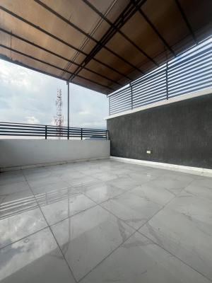 Luxury Smart Brand New 4 Bedroom Duplex with Bq, Asokoro District, Abuja, Terraced Duplex for Rent