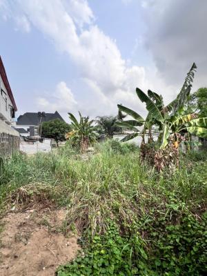 690sqm Available Ajah, Ajah, Lekki, Lagos Nigeria, Ajah, Lagos, Residential Land for Sale