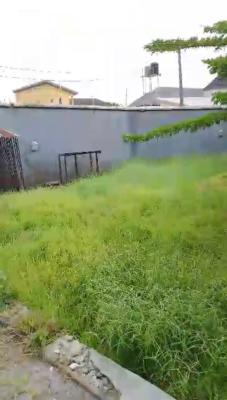 220sqm of Dry Land (quarter Plot ) Fenced Is Available, Badore, Ajah, Lagos, Residential Land for Sale