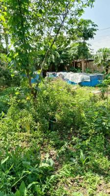 Bareland Measuring 700sqm, Off 1st Avenue, Gowon Estate, Egbeda, Alimosho, Lagos, Residential Land for Sale