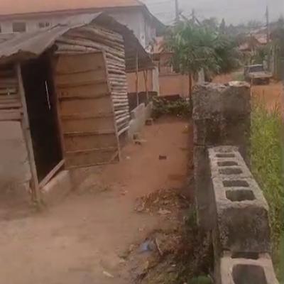 100ft By 100ft Land Title Cofo, Caribbean Estate, Off Iyekogba Housing Estate, Airport Road, Benin, Oredo, Edo, Land for Sale