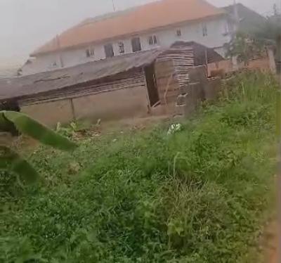100ft By 100ft Land Title C of O, Caribbean Estate, Off Iyekogba Housing Estate, Airport Road, Benin, Oredo, Edo, Land for Sale