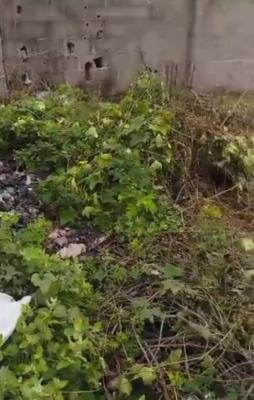 Fenced Gated Full Plot of Dry Land, Bariga, Shomolu, Lagos, Mixed-use Land for Sale