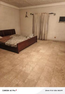 Specious Studio Apartment, Adeoladeku Street, Victoria Island (vi), Lagos, Flat / Apartment for Rent