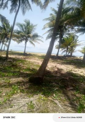 Residential Land with C of O, Beach Palace, Ode Omi, Ibeju Lekki, Lagos, Residential Land for Sale