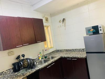 2 Bedroom Furnished Apartment, Lekki Phase 1, Lekki Phase 1, Lekki, Lagos, Flat / Apartment for Rent