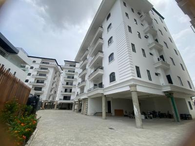 Luxury 2-bedroom Apartment with Bq., Lekki Phase 1, Lekki, Lagos, Flat / Apartment for Rent