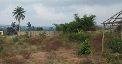 Distressed - 25 Plots of Land - 2nd Naija Express - 24hrs Light - Asab, Onochie / La Riva Street, Asaba, Delta, Mixed-use Land for Sale