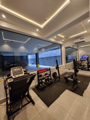 Brand New 3 Bedroom Apartment with Elevator, Gym and a Bq, Lekki Phase 1, Lekki, Lagos, House for Rent