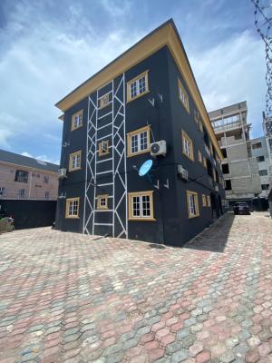 Spacious 2 Bedroom Apartment, Ikate, Ikate, Lekki, Lagos, Flat / Apartment for Rent