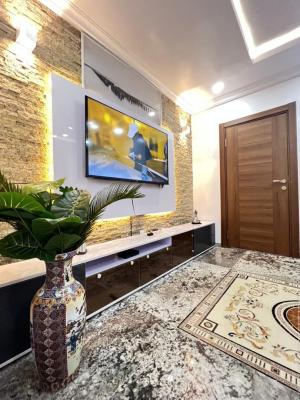 Fully Furnished 1 Bedroom Apartment, Oniru, Victoria Island (vi), Lagos, Mini Flat (room and Parlour) for Sale