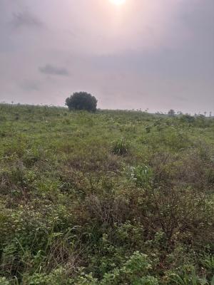 Farmland  in Ogun State, Ajebo-abeokuta Road, Obafemi Owode, Ogun, Commercial Land for Sale
