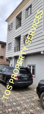 Nice Modern 2 Bedroom Apartment, Ajao Estate, Oshodi, Lagos, Flat / Apartment for Rent