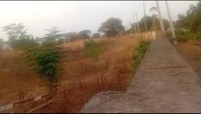 1.96 Hectares Plot with Right of Occupancy, Main, Maitama District, Abuja, Mixed-use Land for Sale
