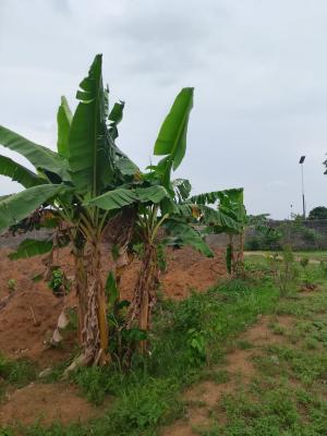 Affordable Plots of Land Available, Chinyere Maternity, Rumuochiolu, Eneka, Port Harcourt, Rivers, Residential Land for Sale