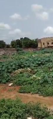 Vacant Virgin 2 and Half Plot with C of O, Ishefun, Ayobo, Lagos, Residential Land for Sale