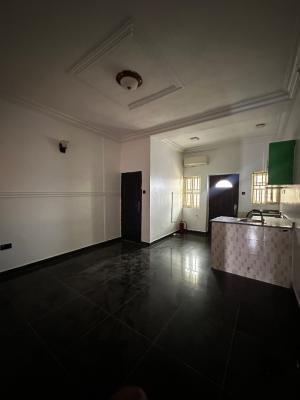 Spacious 1 Bedroom Standard Apartment with Open Plan Kitchen, Bakare Estate, Agungi, Lekki, Lagos, Mini Flat (room and Parlour) for Rent