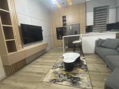 Luxuriously Furnished 2 Bedroom Terraced Duplex 24 Hours Light, Atlantic Layout Estate, By Metro Homes, Ajah, Lagos, Terraced Duplex for Rent