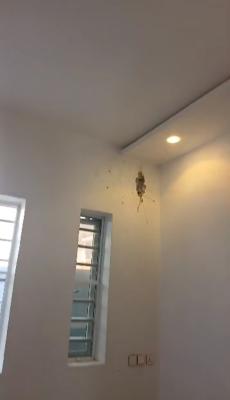 Beautifully Finished 1 Bedroom and Parlor, Ologolo, Lekki, Lagos, Mini Flat (room and Parlour) for Rent