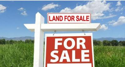 Bare Land, Bourdilion, Old Ikoyi, Ikoyi, Lagos, Mixed-use Land for Sale