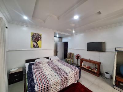 a Well Finished Luxury 3 Bedroom Flat with 24 Hour Electricity, Horizon 2 Extension, Off Ap Filling Station, Ikate, Lekki, Lagos, Flat / Apartment for Sale