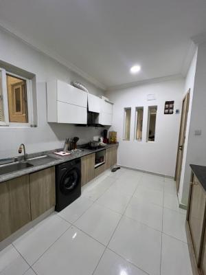 Furnished Two Bedroom Flat, Ikoyi, Lagos, Flat / Apartment for Rent