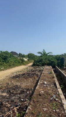 220sqm Land Inside Lekki Scheme 2, Lekki Scheme 2, Lekki Phase 2, Lekki, Lagos, Residential Land Joint Venture