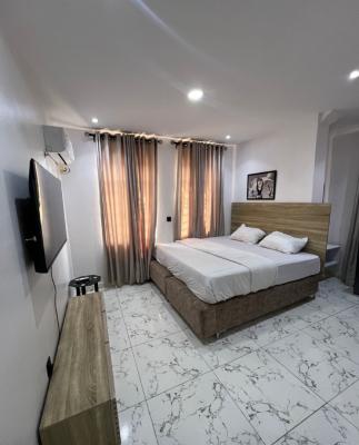 Luxuriously Fully Furnished Room Apartment, Off Lekki Conservation Center, Lekki, Lagos, Flat / Apartment for Rent
