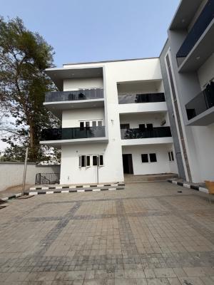 Standard 6 Bedroom Terrace with Bq, Main Asokoro, Asokoro District, Abuja, Terraced Duplex for Rent