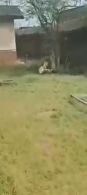 an Half and  Quarter Plot of Land with 4 Bedroom Bungalow, Igando, Alimosho, Lagos, Residential Land for Sale