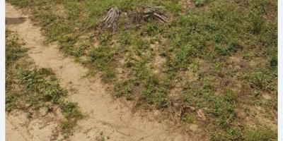 Joint Venture, Magodo, Gra Phase 2, Magodo, Lagos, Residential Land Joint Venture