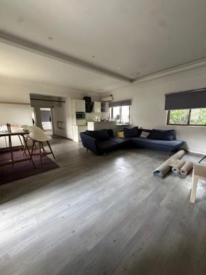 Luxury and Tastefully Finished 2 Bedroom Terrace Duplex, Presidential Villa, Asokoro District, Abuja, House for Rent