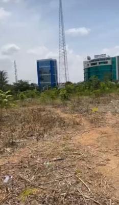 Central Business District 6000sqm Commercial Plot Beside Silver Bird, Central Business District, Abuja, Commercial Land for Sale
