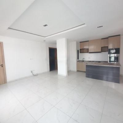2bedroom Serviced Apartment, Ikate, Lekki, Lagos, Flat / Apartment for Sale