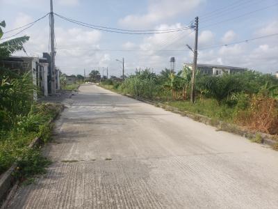 Amazing and Well Positioned Land, Beechwood Estate, Ibeju Lekki, Lagos, Residential Land for Sale