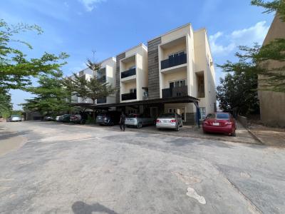 Brand New, Luxury and Very Spacious 4 Bedroom Terrace Triplex with Bq, Mbora (nbora), Abuja, Terraced Duplex for Sale