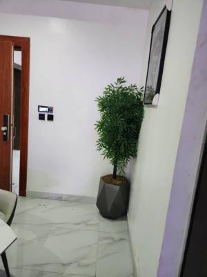 2 Bedroom Fully Furnished Apartment, Freedom Way Lekki Phase 1, Lekki Phase 1, Lekki, Lagos, Flat / Apartment for Rent