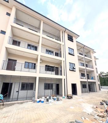 Newly Built 3 Bedroom Flat + Bq  Mabushi, Mabushi, Mabushi, Abuja, Flat / Apartment for Rent