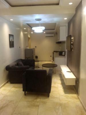 Standard Room & Parlour Apartment, Off Emma Abimbola Cole, Lekki Phase 1, Lekki, Lagos, Mini Flat (room and Parlour) Short Let