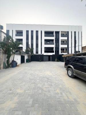 Affordable Luxury 2 Bedroom Apartment  with Spacious Rooms & Parkings, Ikate, Lekki, Lagos, Flat / Apartment for Sale