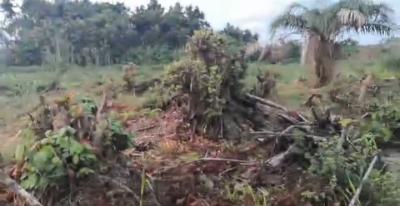 Distress: 2 Plots of Land, 1400 Sqm., Estate, Ajah, Lagos, Mixed-use Land for Sale