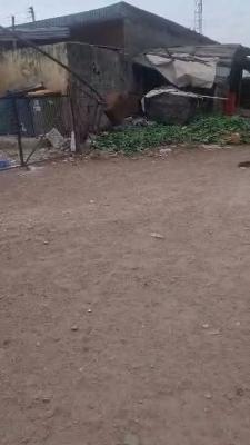 Solid Land, Atunrase Estate, Gbagada, Lagos, Land for Sale