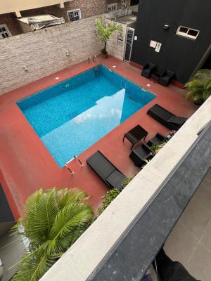 Spacious Luxury 3-bedroom Apartment with a Room Bq in Lekki, Lekki Phase 1, Lekki, Lagos, Flat / Apartment for Rent