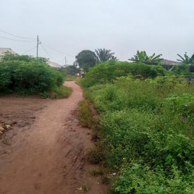 a Virgin Half Plot in a Well Developed Area Closer to Tarred Rd, Off Latikay Bus Stop Lusada Td, Agbara, Ado-odo/ota, Ogun, Mixed-use Land for Sale